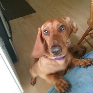 Meet your Posher, Patricia